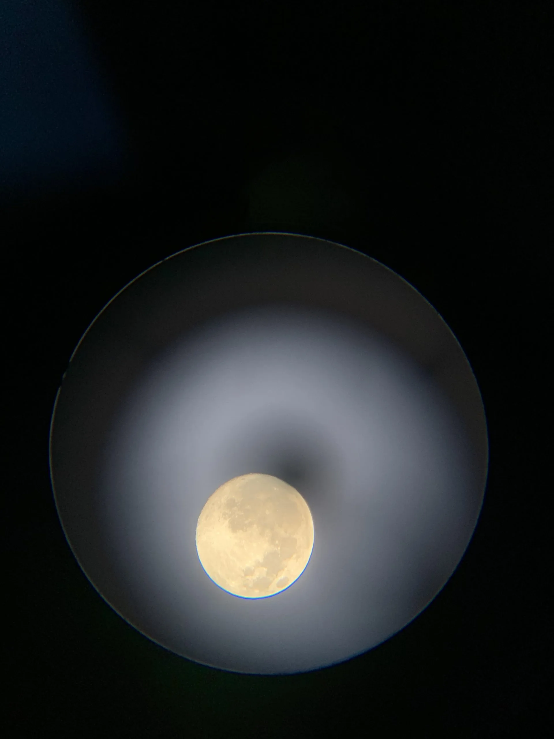 The Moon