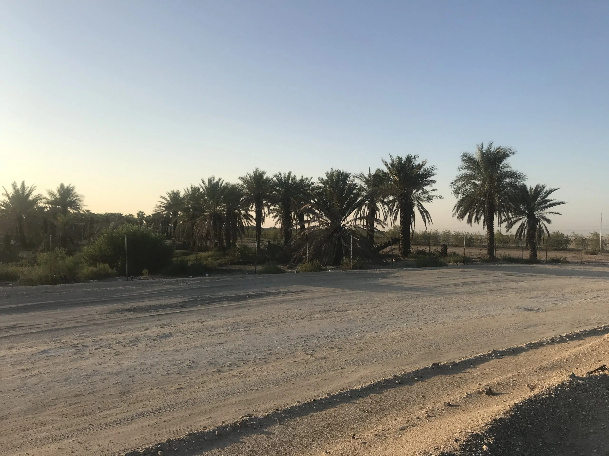 The Oasis close by