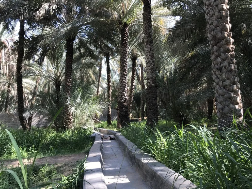 Al Ain Oasis and Falaj